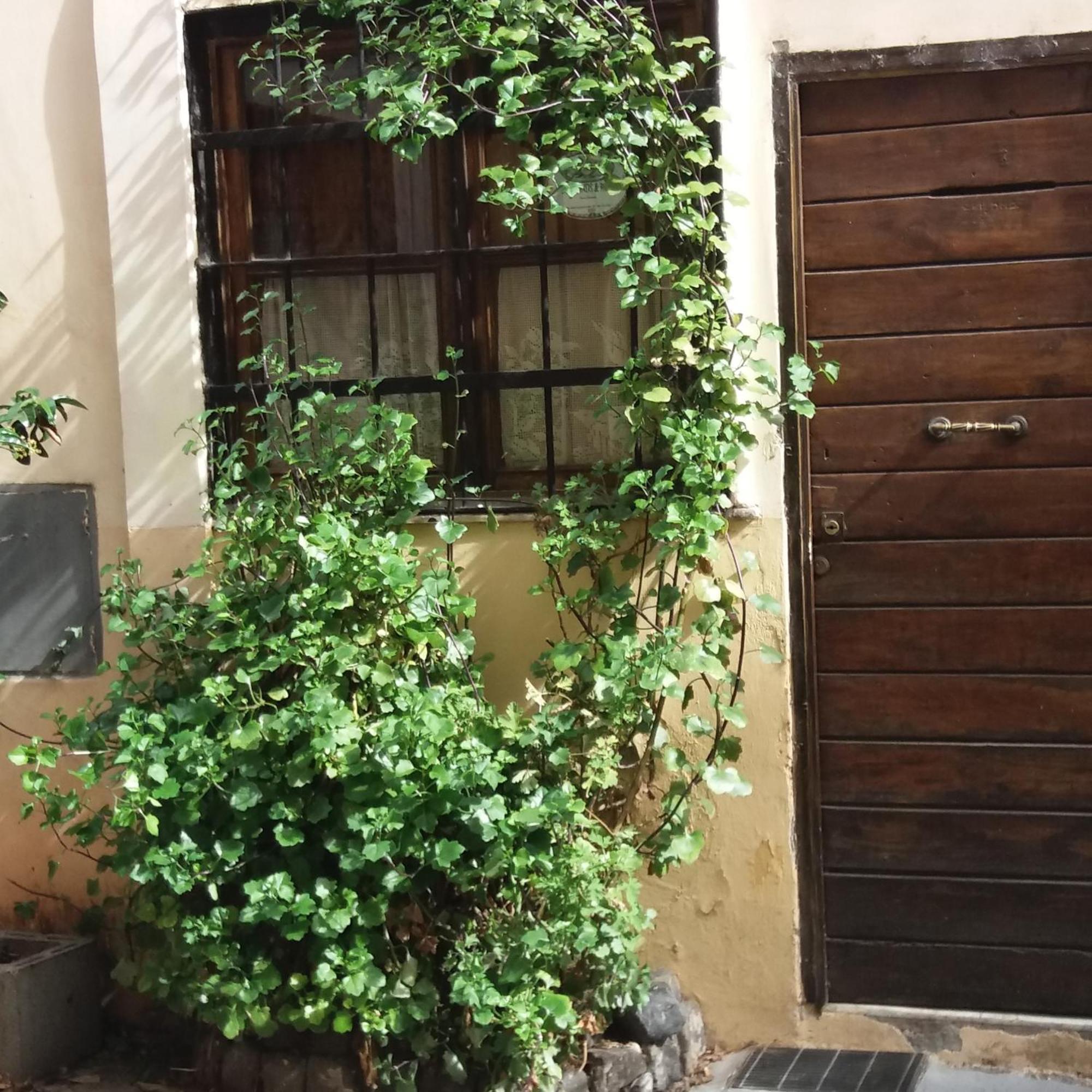 B&B Ventisei Scalini A Trastevere Rzym Zewnętrze zdjęcie